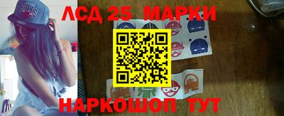 Альфа ПВП Малгобек
