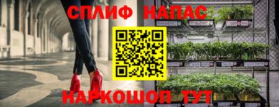 Альфа ПВП Малгобек