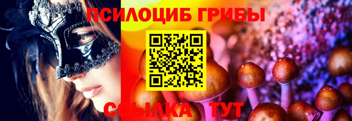 Галлюциногенные грибы GOLDEN TEACHER  Вход с VPN  Домодедово 
